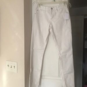 ARTICLES OF SOCIETY JEANS